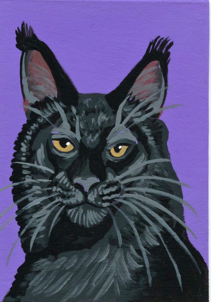 ACEO ATC Original Miniature Painting Black Maine Coon Pet Cat Art-Carla Smale by carla smale