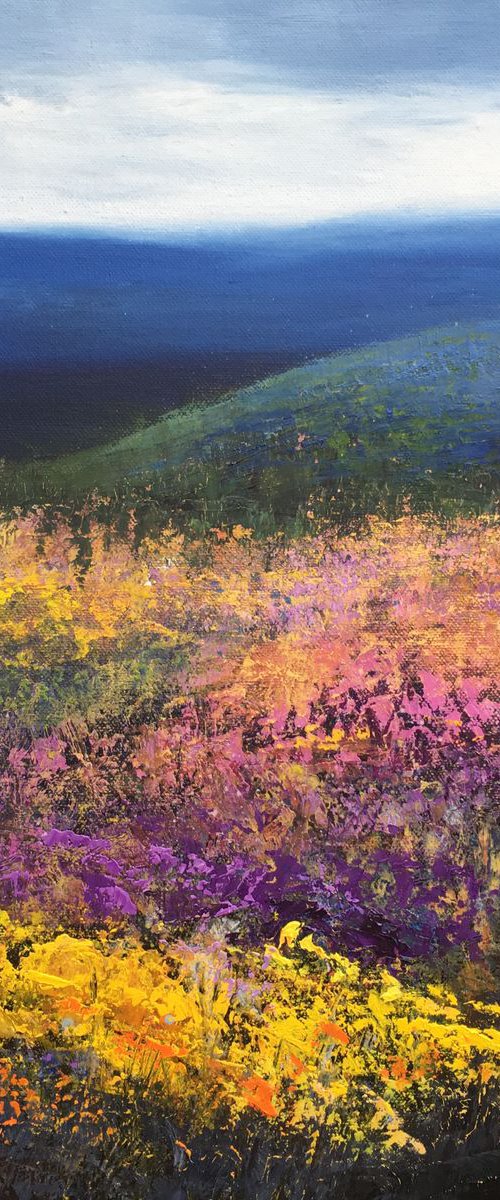 Across The Valley by Laure Bury