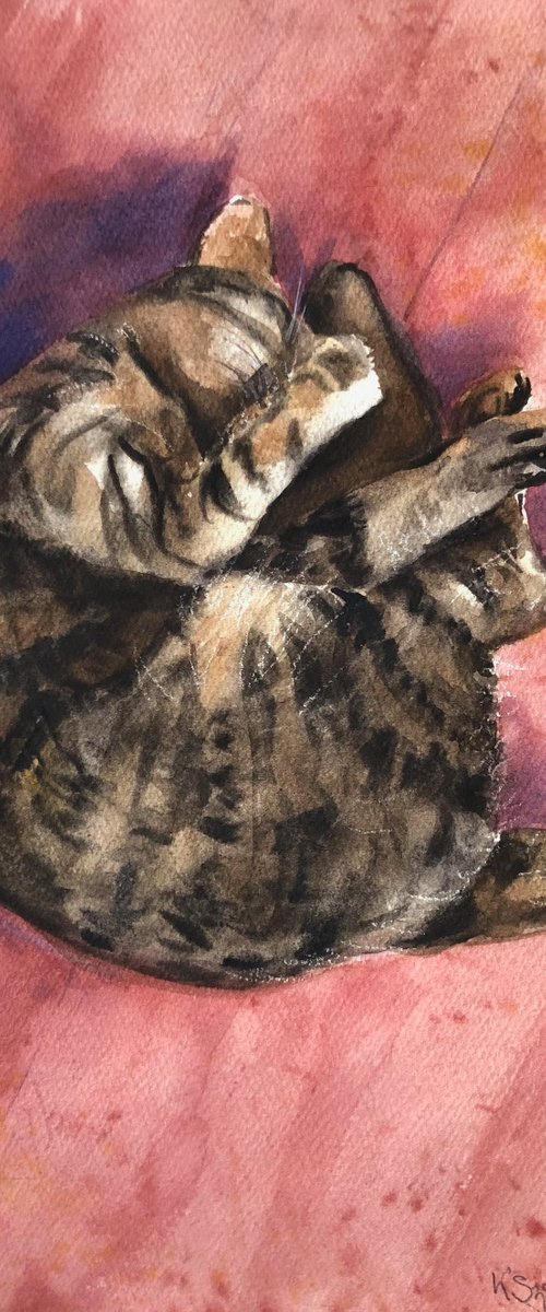 Sleeping Cat by Krystyna Szczepanowski