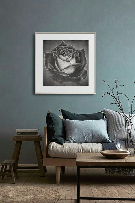 Two-Faced Rose. Graphite Flowers Series