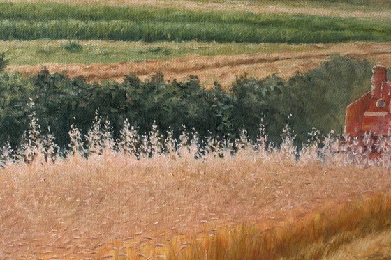 Harvest in Rabbit Slopes