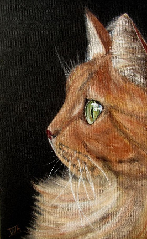 Realistic Portrait a ginger Cat