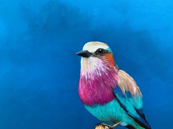 Lilac Breasted Roller