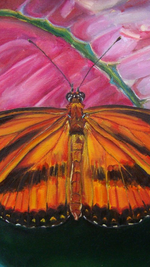 Lovely butterfly by Olga Knezevic