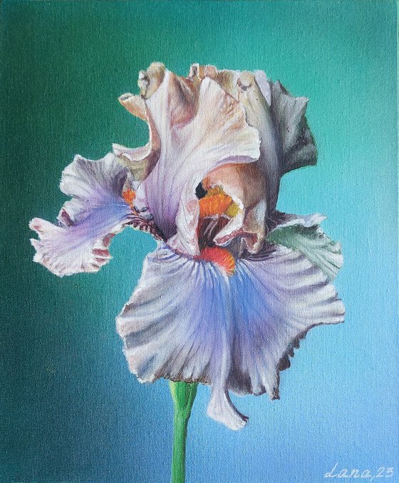 Iris painting,  realistic flowers art, irises flower painting, realistic art,  hyperrealism art