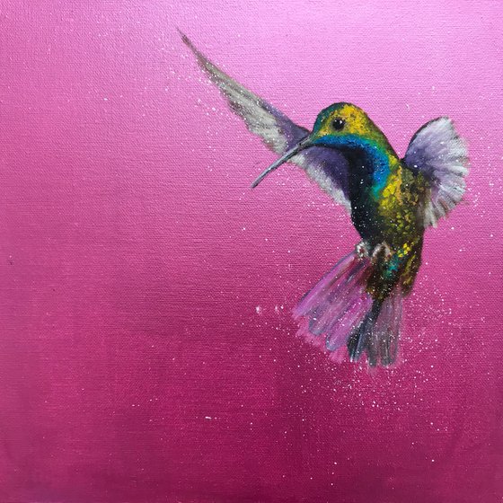 Green-breasted Mango Hummingbird ~ on Metallic Pink