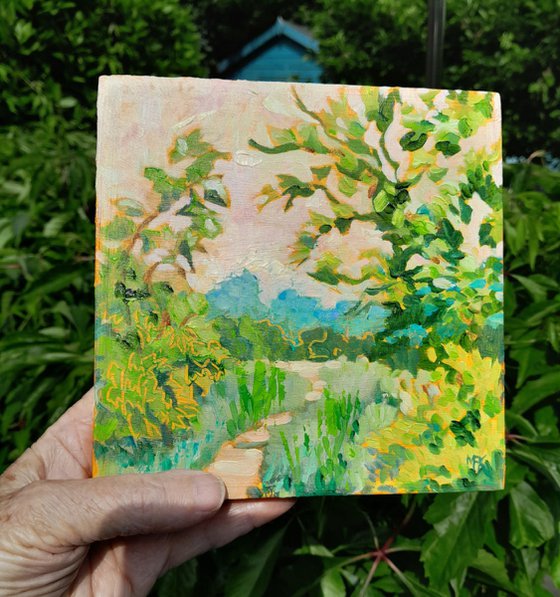 Country Hedgerows