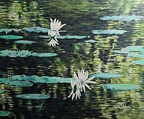 Waterlilies 2