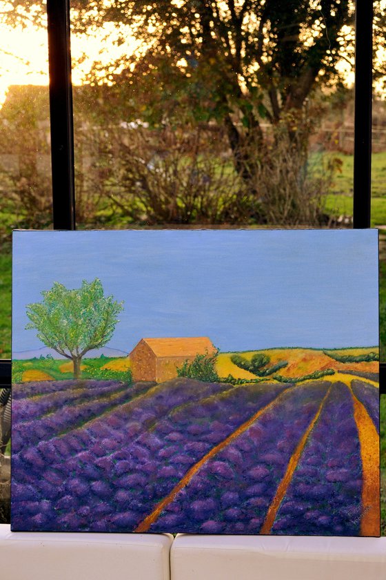 PROVENCE IN FRANCE. Free shipping.