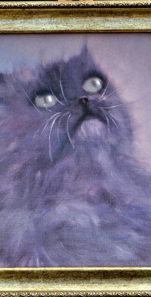 Gray fluffy by Elena Lukina