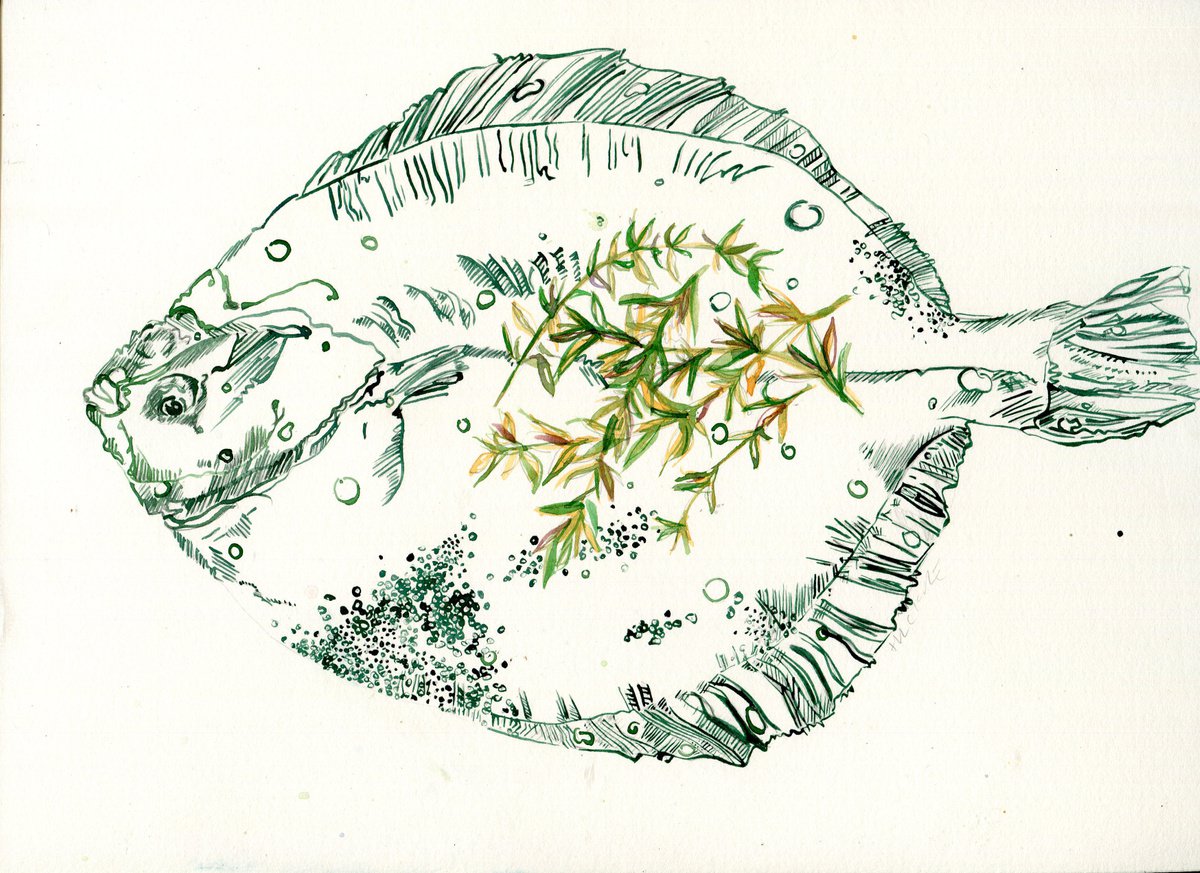 Plaice with Thyme by Hannah Clark