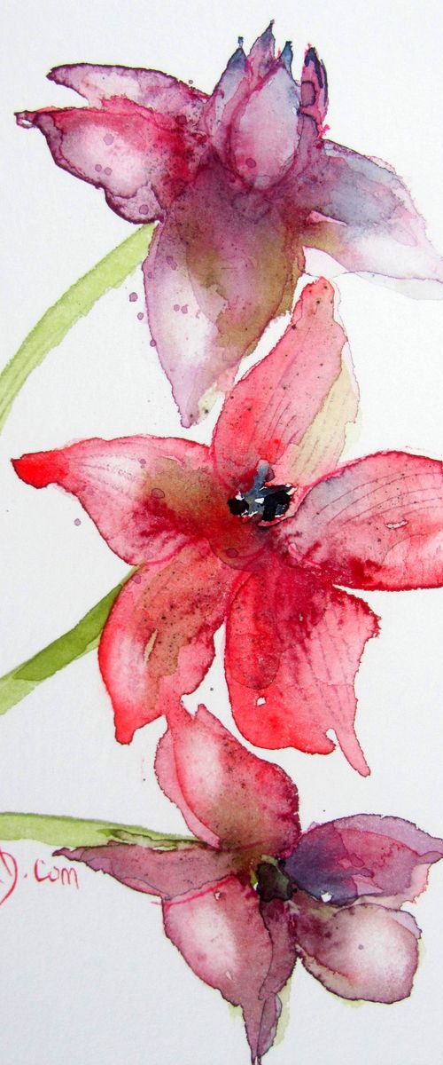 Pink Orchids by Violeta Damjanovic-Behrendt