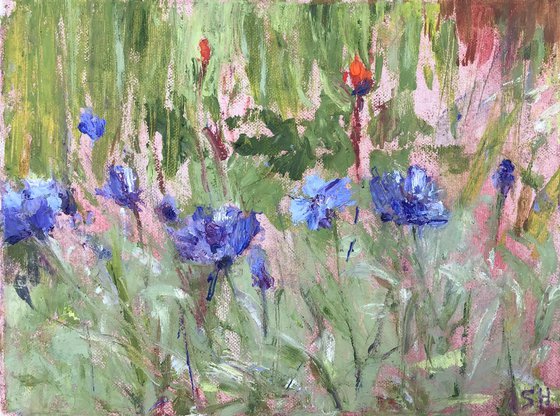 Cornflowers Study 1
