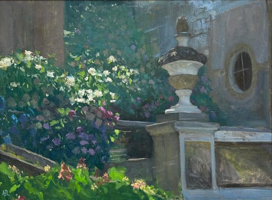 Hydrangeas at the Villa