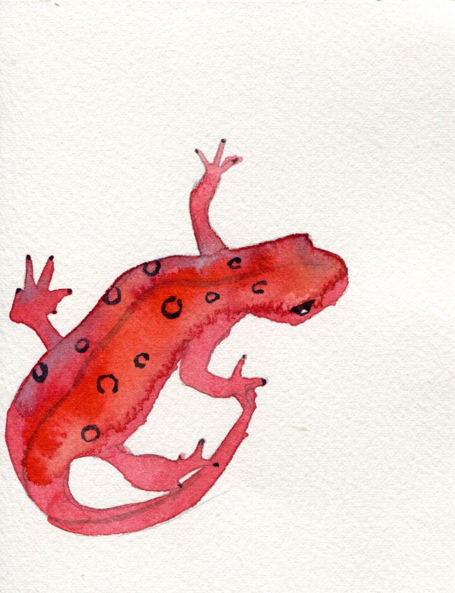 Pink Lizard by Hannah Clark