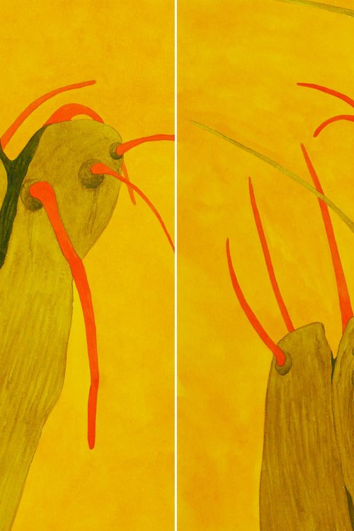 Diptych Trees portraits 3 and 4 by Karina Danylchuk
