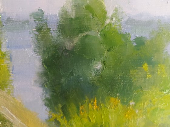 Ukrainian landscape
