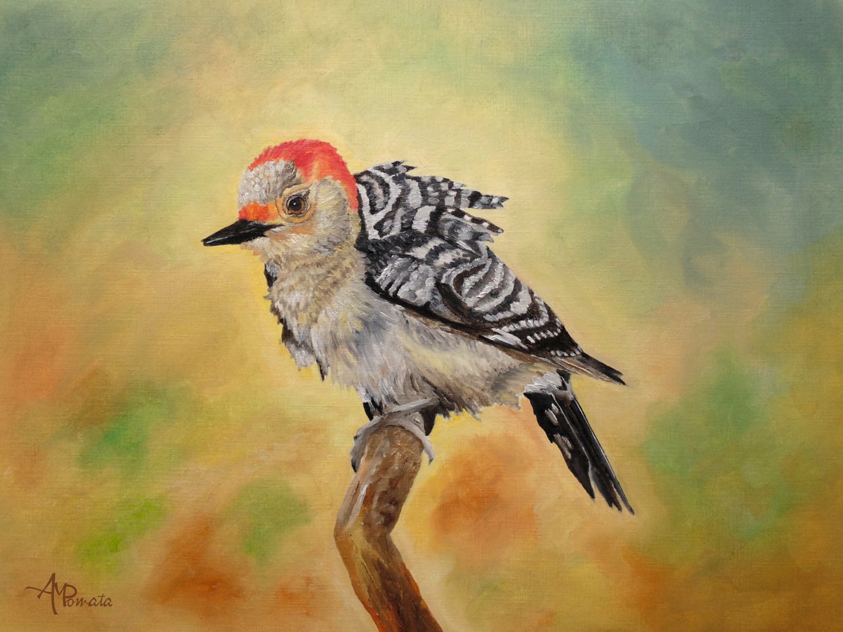 Impressionistic Animal Oil Painting By Angeles M. Pomata, 13 X 10, Pretty Woodpecker, Original Artwork
