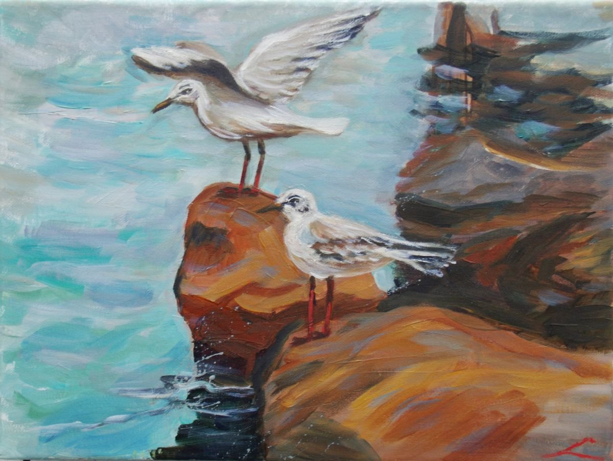 Impressionistic Animal Oil Painting By Elena Sokolova, 16 X 12, Seagulls On Rocks, Original Artwork