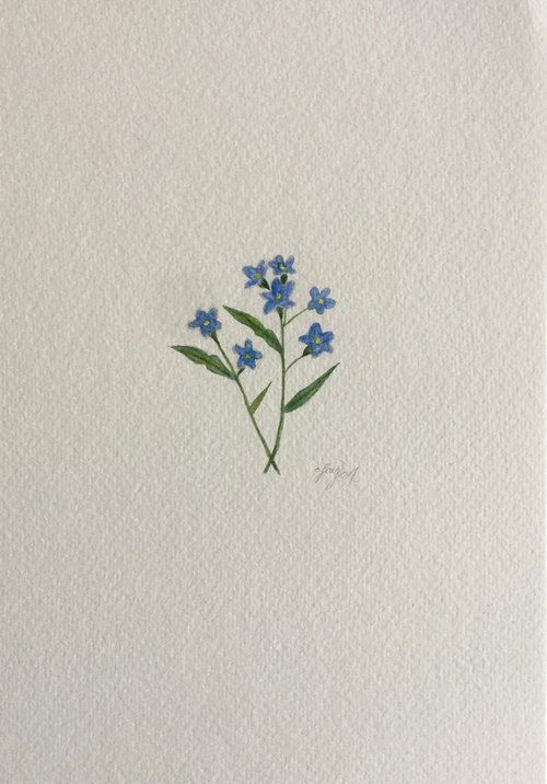 Flower watercolour painting by Amelia Taylor