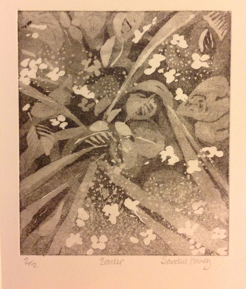 Photorealistic Botanical Etchings & Engravings By Sandra Haney, 10 X 12", Border, Original Artwork
