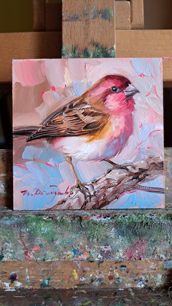 Bird Rosefinch