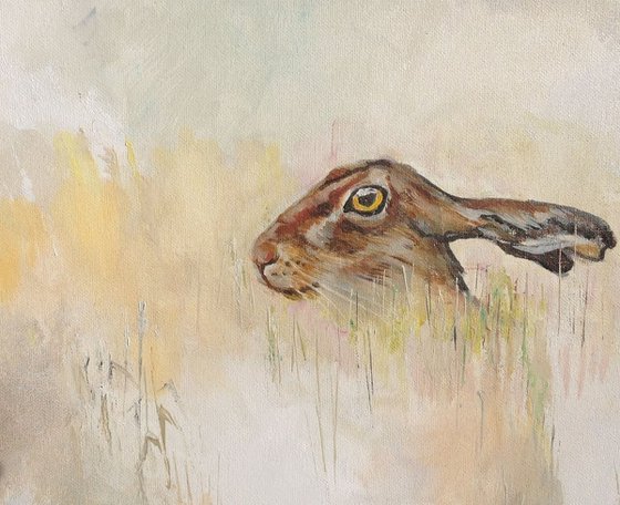 Long Hare