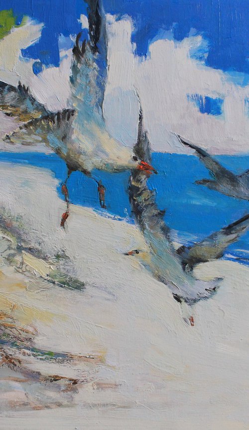 Coastal Harmony by Henadzy Havartsou