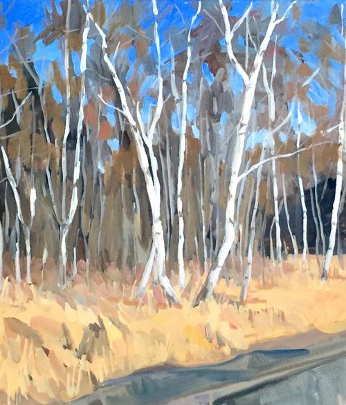 Silver birches on Wimbledon Common by Katharine Rowe