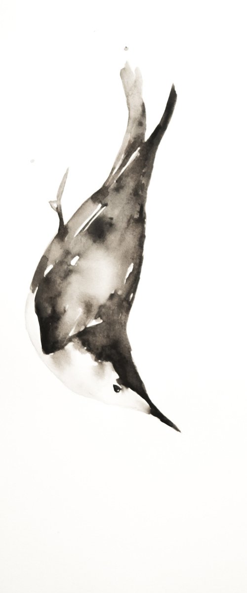 Bird by Nadia Moniatis