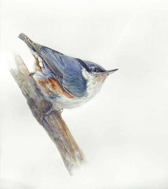Nuthatch & Blue Tit (Set of 2)