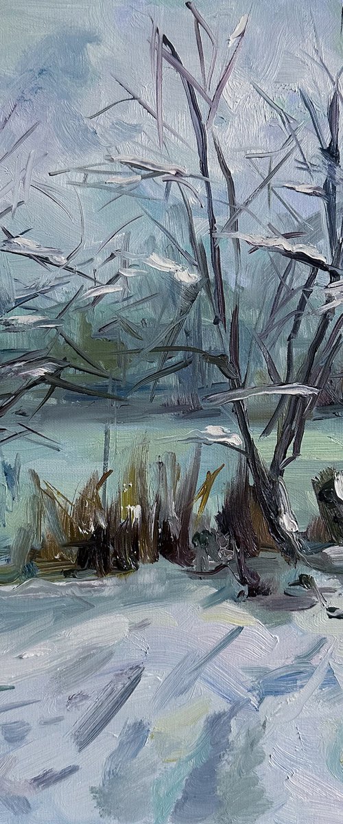 Park lake in winter by Irina Sherbiak