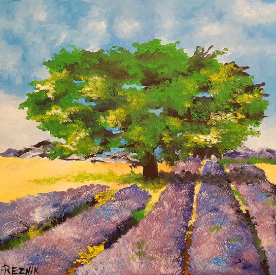 Provence lavender field 40*40cm
