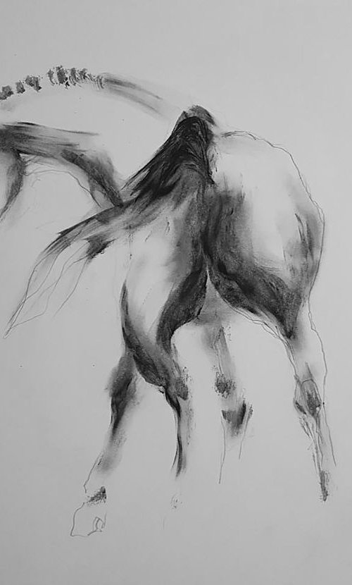 HORSE by Nicolas GOIA