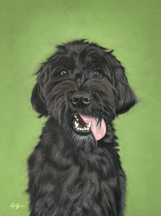 Commission pet portrait