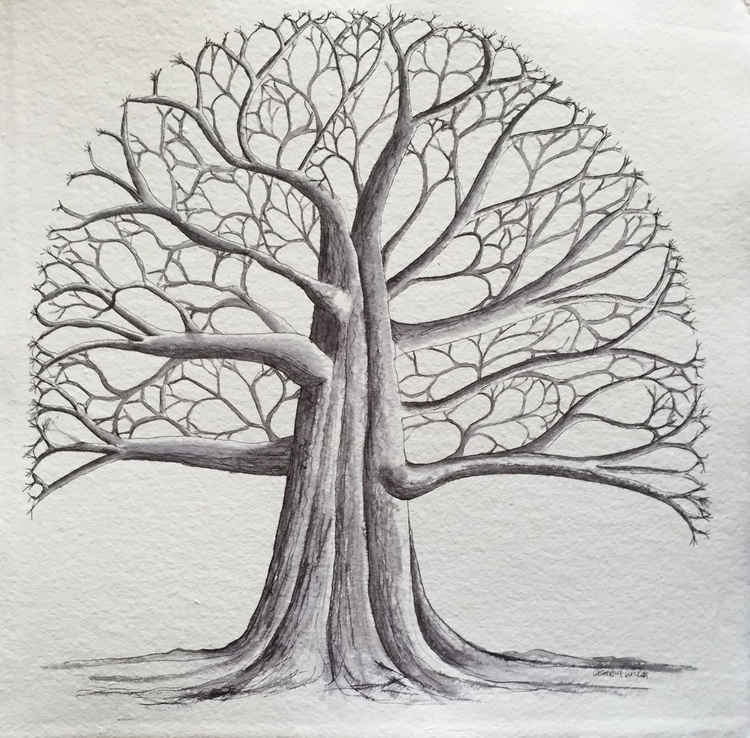 Big Tree Pen And Ink Watercolour Artfinder