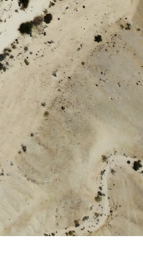 Aerial View of Desert by Igor Zeiger