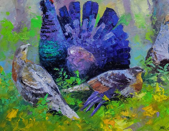 Black Grouse in the Summer Forest