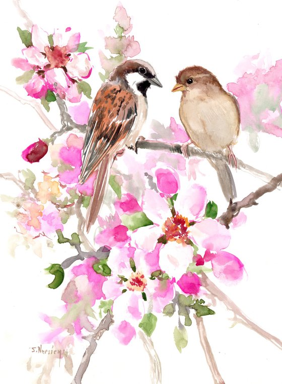 Sparrows in the spring