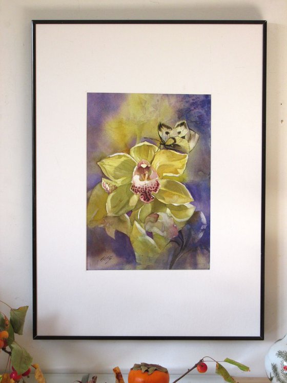 Cymbidium orchid with butterfly