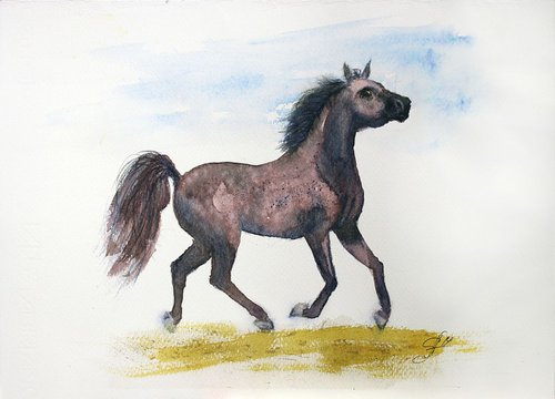 Horse II by Salana Art Gallery