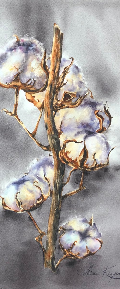 Cotton stem by Alina Karpova