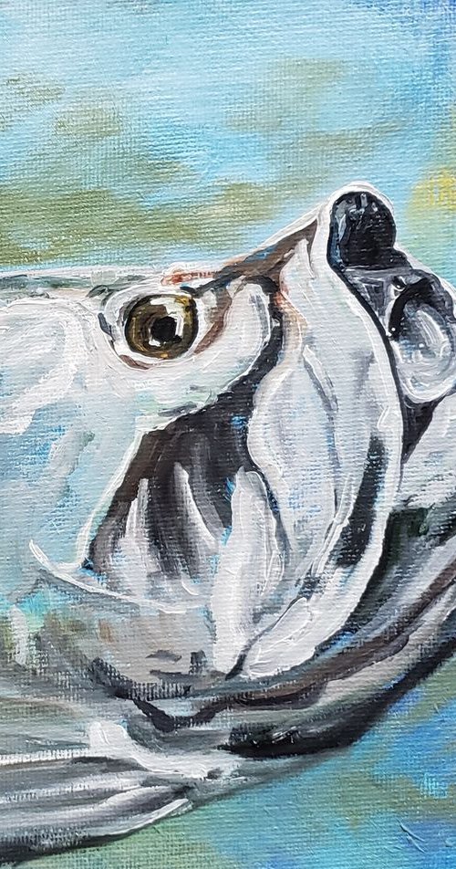 Fishing - Tarpon Study by Katrina Case
