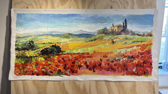 "Poppies of Tuscany.Sunny day."