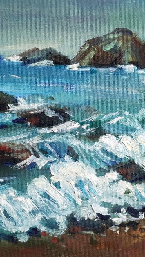 Ocean Waves on Rocky Coast by Natalia Miasnikova