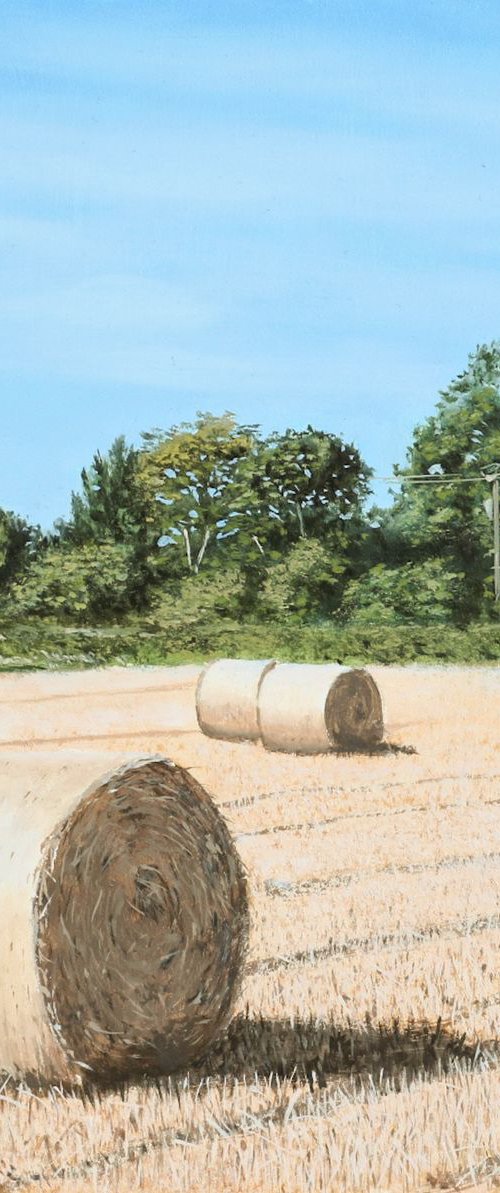 The Last of Summer by Christopher Witchall