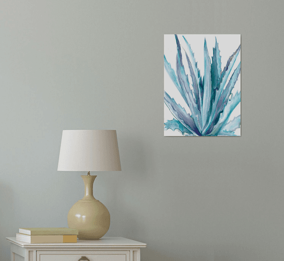 Agave