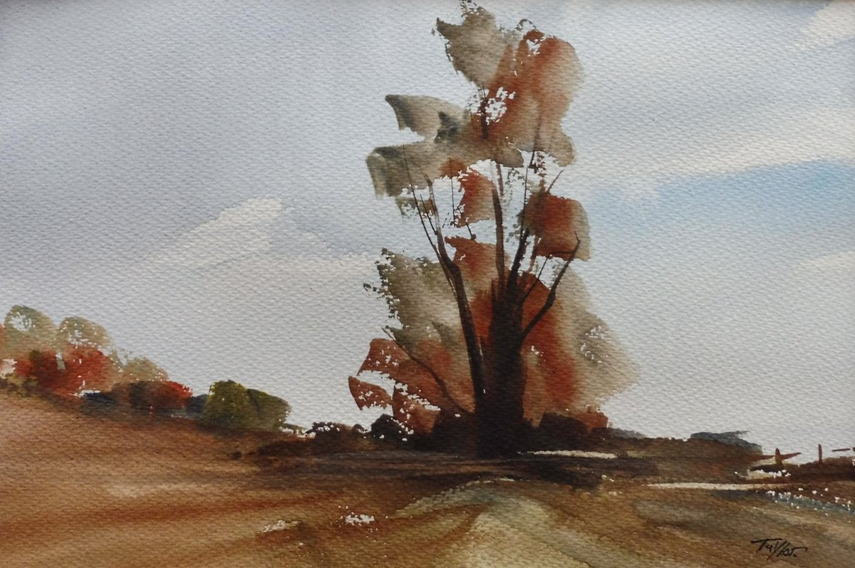 AUTUMN LANDSCAPE, near Croome Park, Worcestershire. by Tim Taylor