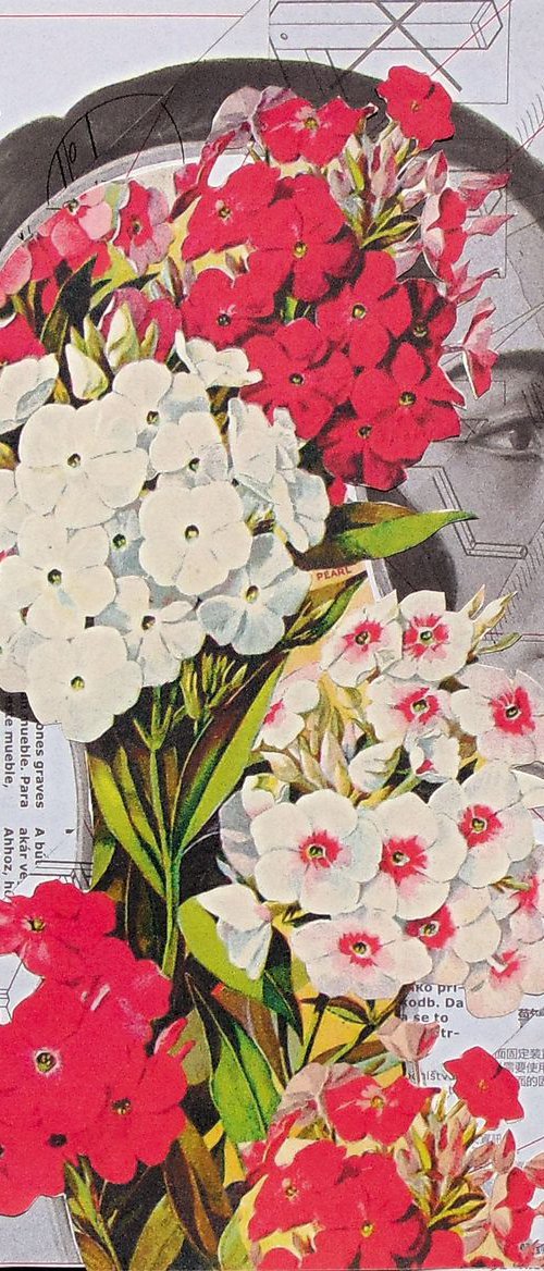 Collage_93 by Manel Villalonga