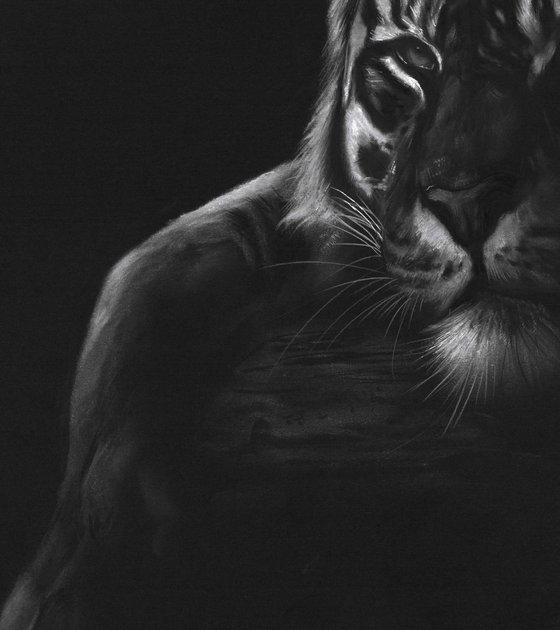 Tiger In The Darkness